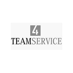 logo-teamservice